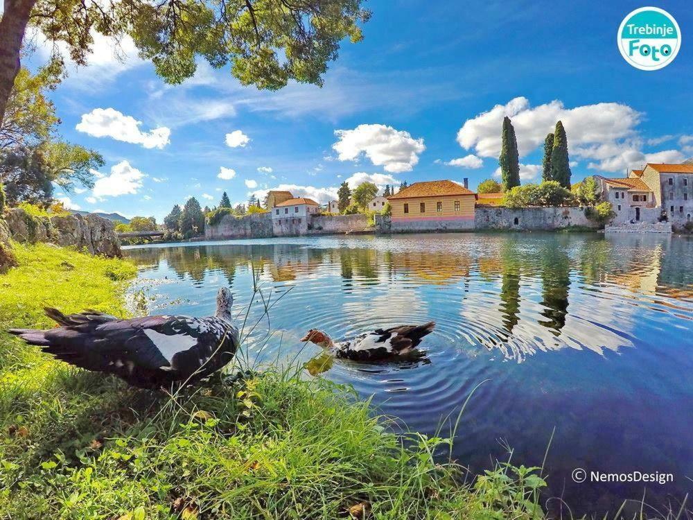 Appartamento Nina Trebinje Esterno foto
